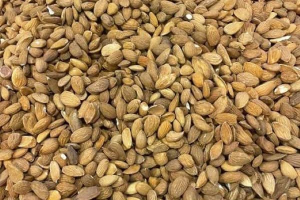 تصویر 4 از خرید مغز بادام سنگی + بهترین قیمت